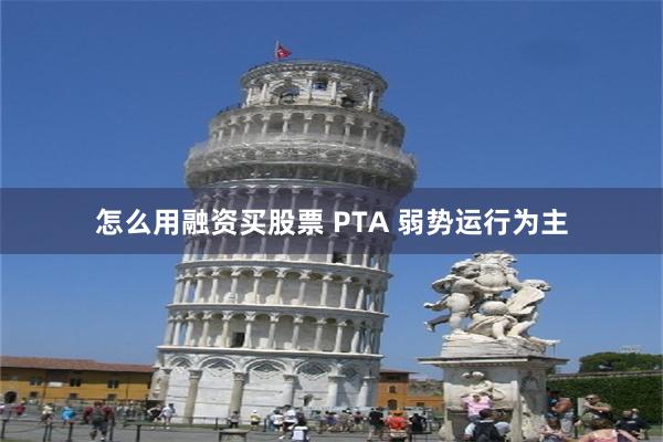 怎么用融资买股票 PTA 弱势运行为主