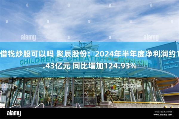 借钱炒股可以吗 聚辰股份：2024年半年度净利润约1.43亿元 同比增加124.93%