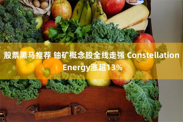 股票黑马推荐 铀矿概念股全线走强 Constellation Energy涨超13%